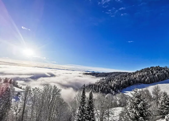 Urban & Florian Apt-67 Family By Interhome *